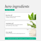 HASK Tea Tree Invigorating Dry Shampoo for Oily, Itchy Scalps (Adult Haircare) - Oil Control, Oil Absorption, Scalp Rebalancing, Hypoallergenic, Sulfate- & Paraben-Free, Cruelty-Free - 8.1oz Single It