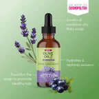ORS Olive Oil Braidzone Fertilizing Haircare Serum - Liquid Formula with Lavender, Acai, Biotin for Dry Hair & Scalp, 2 oz (1)