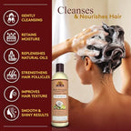 OKAY Black Jamaican Castor Oil Shampoo - Natural, Moisturizing Jamaican Castor Shampoo, Strengthen & Restore Damaged Hair for Women and Men - Coconut Curls, 12 fl oz (Pack of 1)