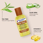 Hollywood Beauty Tea Tree Oil 2 Ounce (59ml) (2 Pack)