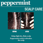 Difeel Peppermint Scalp Care Hair Oil Blend - Travel Size 2.5 oz.
